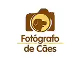 fotografodecaes.com.br